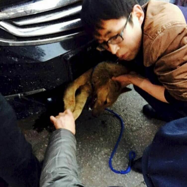 Řidič automobilu, který psa vyprošťoval.