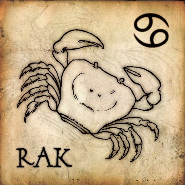 Raci si při kupování auta dají záležet především na komfortu a praktičnosti. Do jejich garáže patří Škoda, Ford, Opel či Toyota ve variantě Combi.