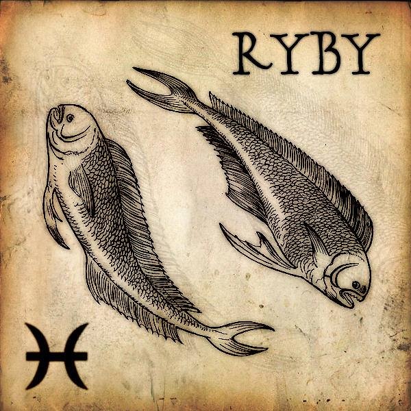 Vůz, za jehož volant Ryby usednou, se jim prostě musí líbit. Klidně jim bude stačit nápaditý Volkswagen Brouk!