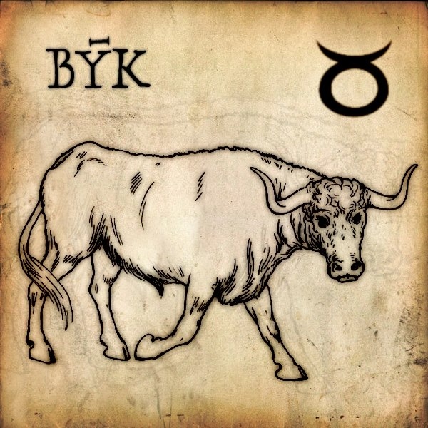 Býci v ložnici rádi experimentují a zkoušejí nové polohy, jediné, co jim dělá problém, je zkoušet jiné typy partnerů.