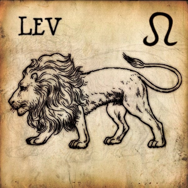 Lev chce být vždy obdivován. Překvapí vás ale, že jeho slabou stránkou je sebevědomí v posteli.