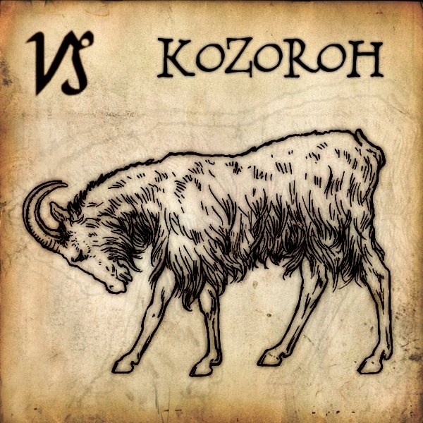 Kozorohové jsou strnulí a velice těžko se dokážou fyzicky uvolnit. To je jejich základní a zásadní problém.