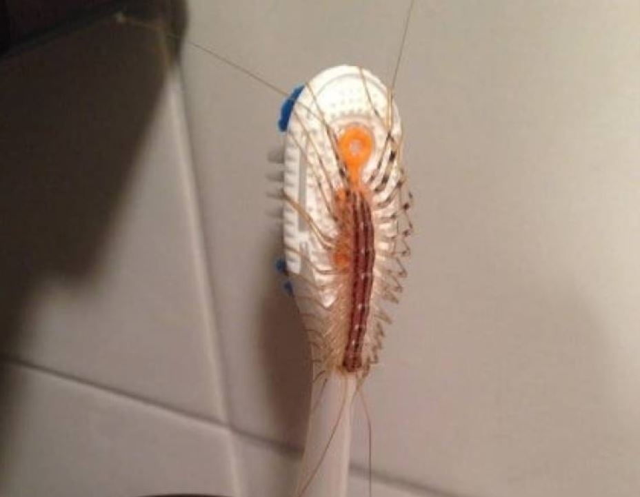 I tohle vás může potkat, když si jdete čistit zuby.