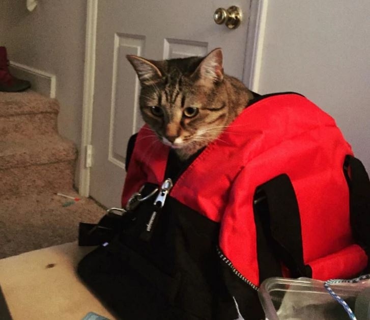 Vložte je do vaší sportovní tašky – sáčky dokonale pohltí vlhkost z vašich propocených věcí a navíc zamezí růstu plísní a bakterií.