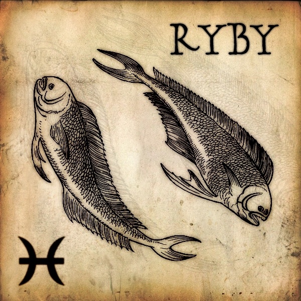 Ryby - Pokud je muž narozený v Rybách, ve vztahu zcela spokojen a po sexuální stránce nijak nestrádá, není se čeho bát. Pokud však cítí opak, nevěra mu nedělá sebemenší problém.