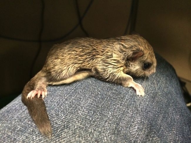 Ráda všechno prozkoumává