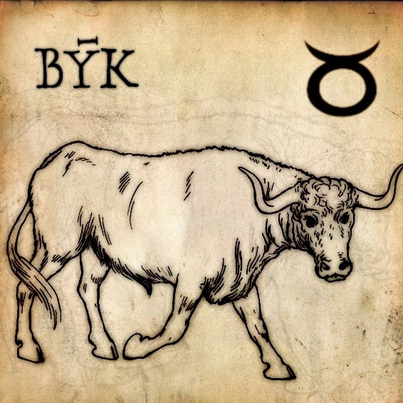 Průměrná délka: 12 cm