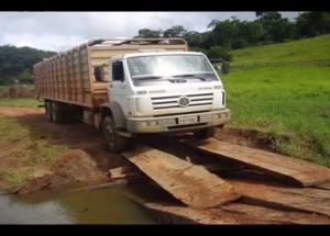Nebudete věřit, ale i tak může vypadat převoz dobytka!