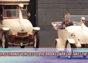 Daruj ženě pořádného ptáka