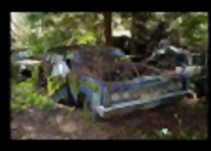 Najdi si svůj auto-hřib