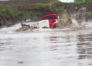 Dokáže skoro nemožné tato malá napodobenina!