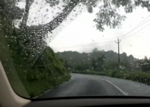 Vracel se s rodinou domů. To, co zachytila kamera z auta, zvedne ze židle  i ty nejsilnější povahy!