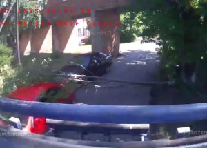 Spadl slečně na auto strom!