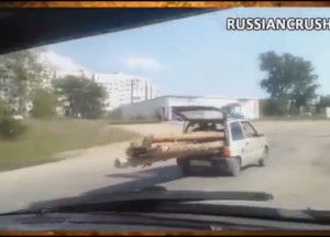 Krademe stromy z lesa mazaně!