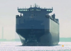 Jak převést 1000 luxusních vozů přes moře?