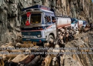 Ukázka jízdy po 5 nejnebezpečnějších silnicích v Indii