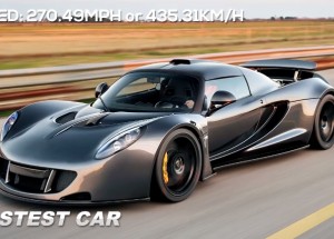 Zde je 10 z nejrychlejších věcí na této planetě!