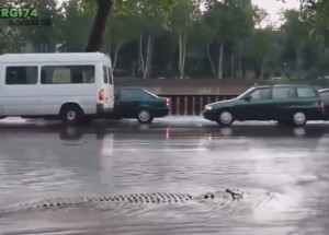 Nejlepší hororové auto vtipy