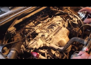 Jak umývat, či neumývat motor!
