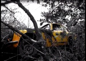 Opuštěné a zapomenuté automobily