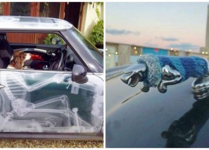 Originálně vytuněná auta, která vás rozhodně poteší svým zpracováním!