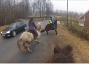 Auto ohrožuje koně v nebezpečné blízkosti. Tohle video doslova rozzuřilo internet!