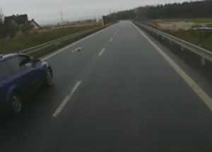 Lidská hloupost je nesmrtelná