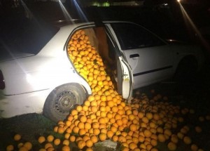 Policie odstavila při kontrole tři vozy. Uvnitř nalezla něco naprosto nepochopitelného