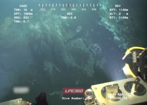 Mimozemské stvoření připomíná temnou chobotnici s barevnou disko koulí