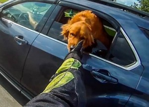 Lidskost vždy na prvním místě. Důkaz, že i motorkáři mají srdce na správném místě