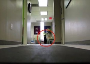 Pokud vám někdo řekne, že andělé neexistují, ukažte mu tohle video. A také si připravte kapesníčky...