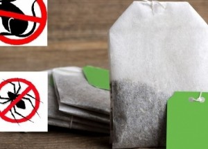 Jak se zbavit pavouků nebo myší u vás doma? Bude vám stačit pouze sáček čaje!
