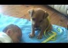 Novorozeně spalo a přišlo k němu štěně. To, co potom maminka natočila, vidělo už 54 milionů lidí!